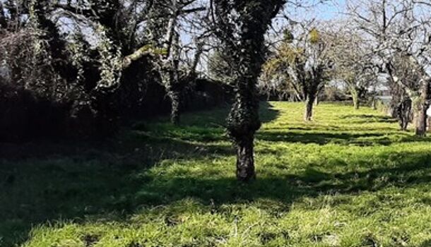 Terrain  à vendre Lens-Lestang 26210