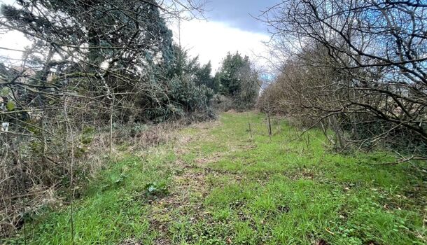 Maison de Village  3 pièces  à vendre Andancette 26140