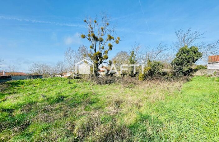 Terrain borné, constructible et non viabilisé — photo 2