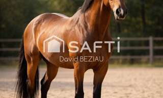 Commerce 8 Pièces  m² à vendre à Guérande (44350)