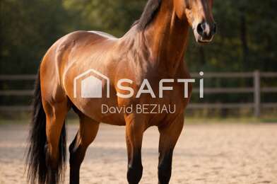 Commerce 8 pièces 2631000 €