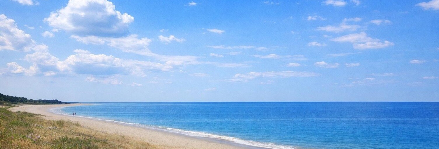 Commerce 30 Pièces  m² à vendre à Guérande (44350)