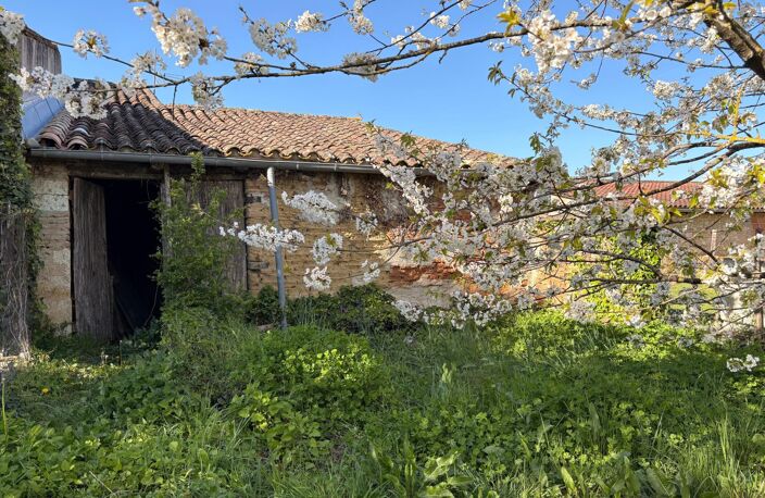 Bâtiment à usage de remise avec jardin, proche des commodités — photo 4