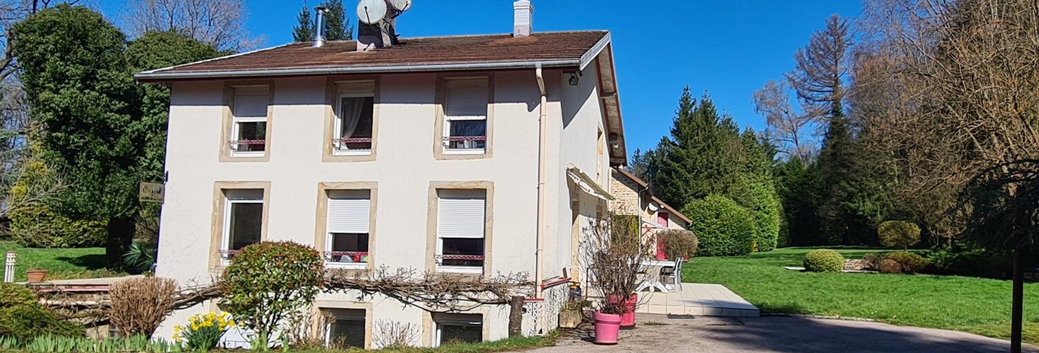 Maison 9 Pièces 232 m² à vendre à Épinal (88000)