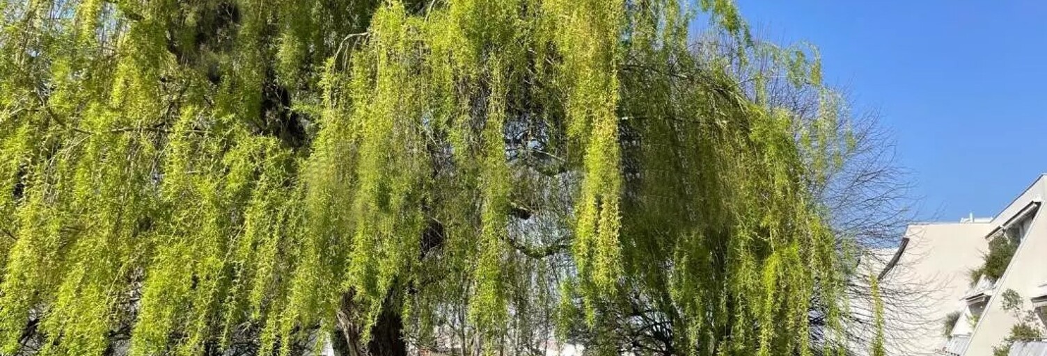 Appartement 3 Pièces 64 m² à vendre à Rueil-Malmaison (92500)