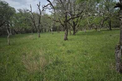 Terrain  50000 €