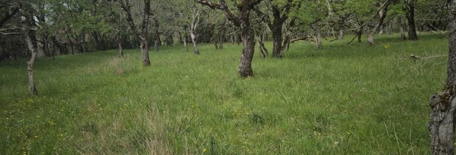 Terrain  7010 m² à vendre à Pechs-de-l'Espérance (24370)