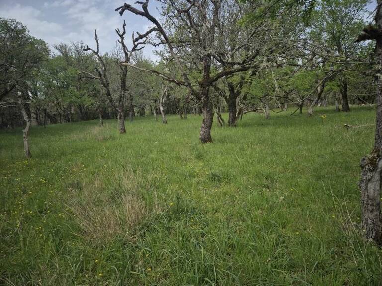 Terrain à bâtir de 0 pièces principales — photo 1