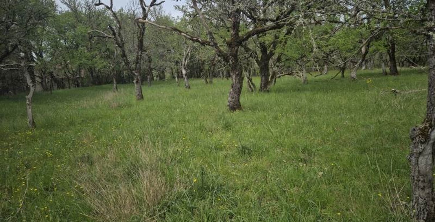 Terrain à bâtir de 0 pièces principales — photo 1