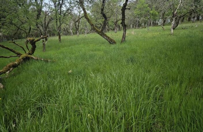 Terrain à bâtir de 0 pièces principales — photo 2