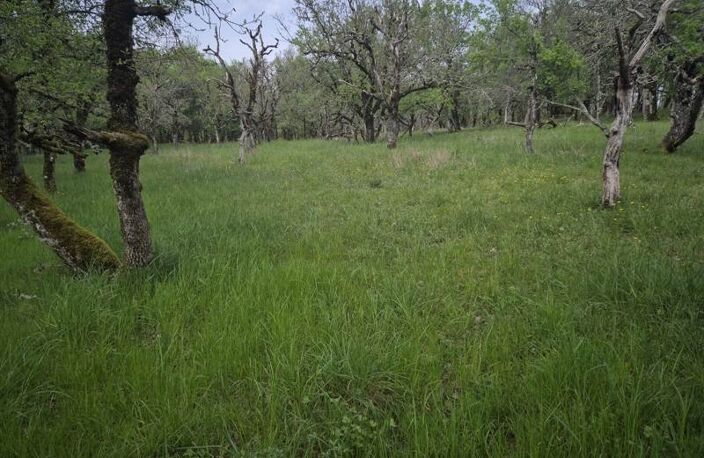 Terrain à bâtir de 0 pièces principales — photo 3