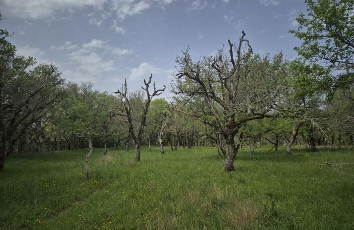 Terrain à bâtir de 0 pièces principales — photo 4