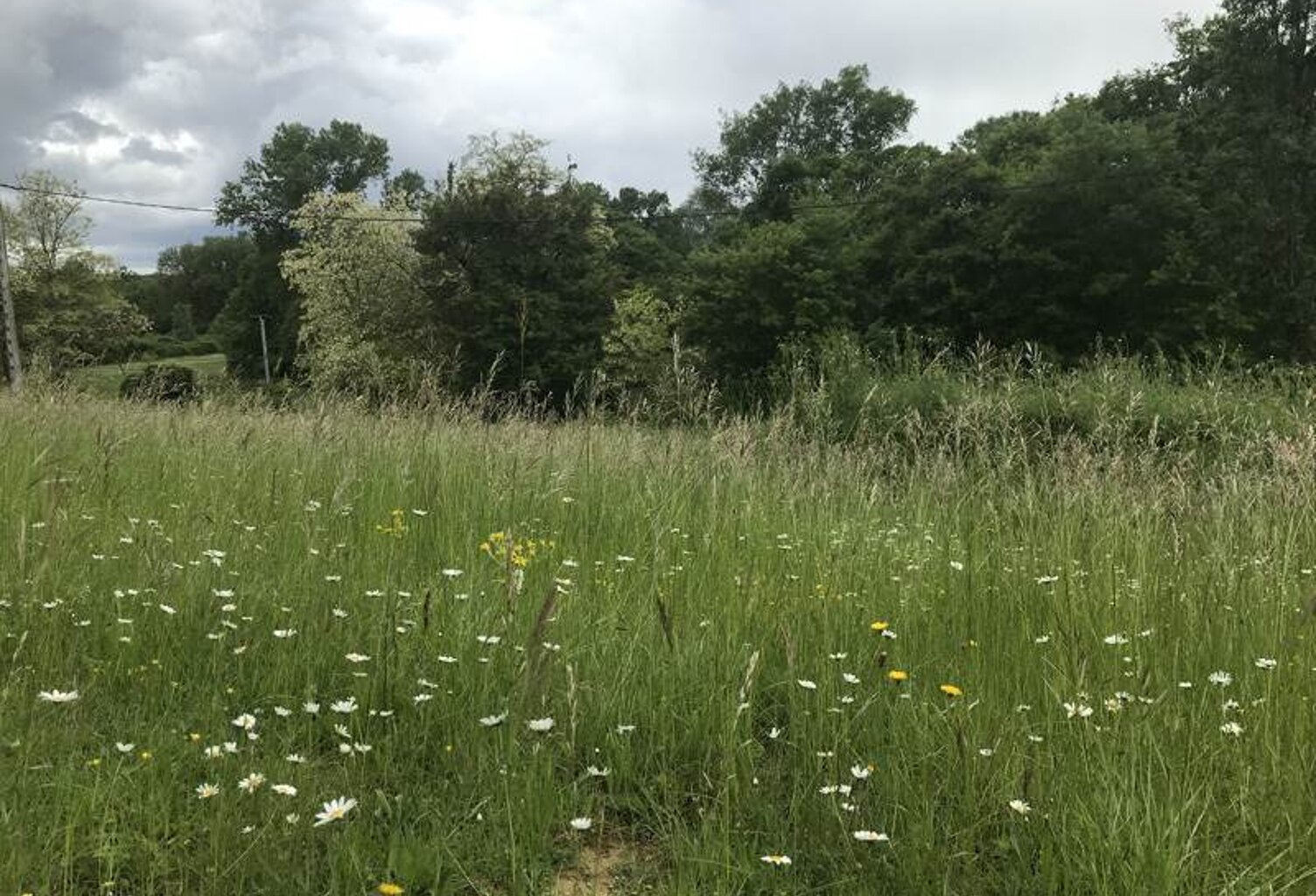 Vente terrain  3499 m² Orbessan (32260) — photo 1