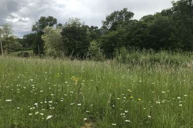 Terrain  44000 €