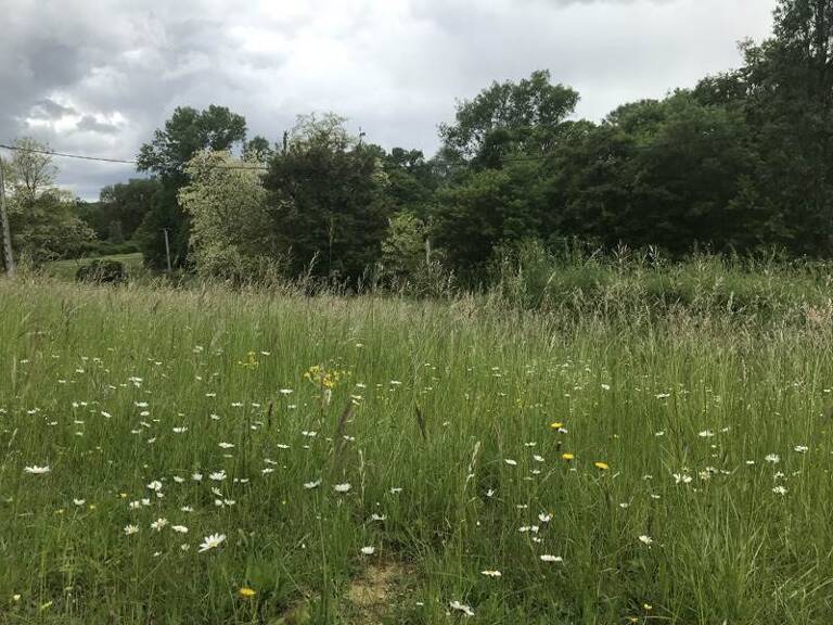 Terrain à construire  3499 m²  — photo 1
