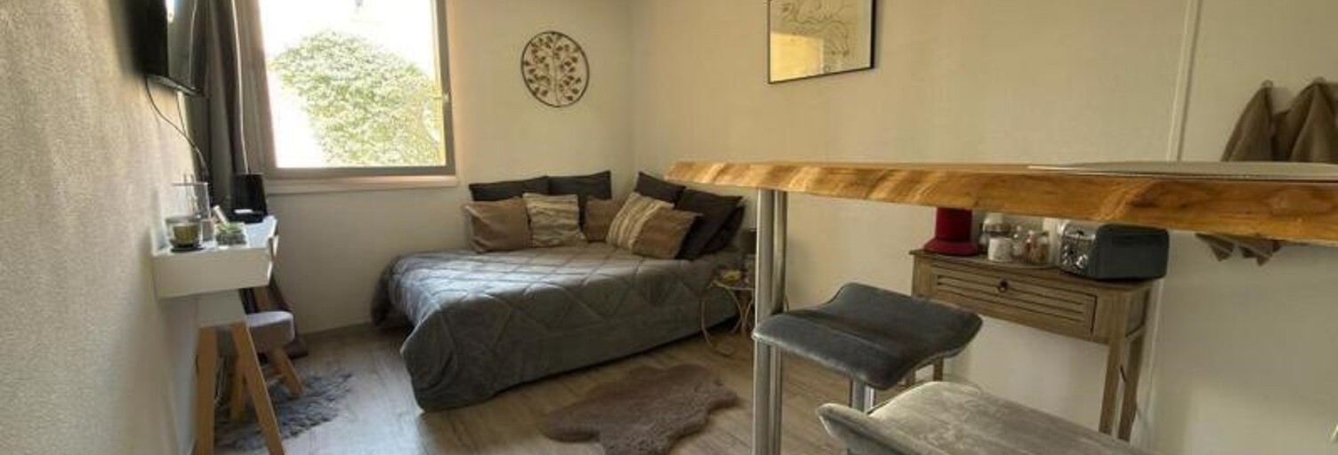 Appartement 1 Pièce 19 m² à vendre à Lyon 9 (69009)