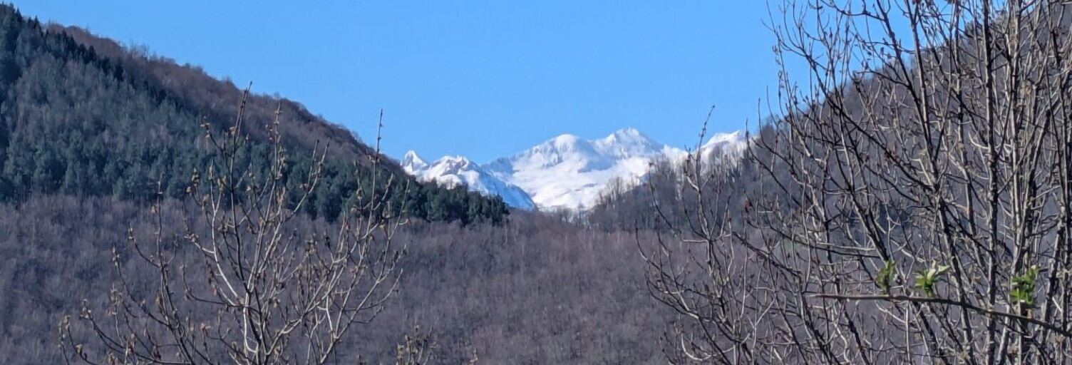 Maison 5 Pièces 96 m² à vendre à Biert (09320)