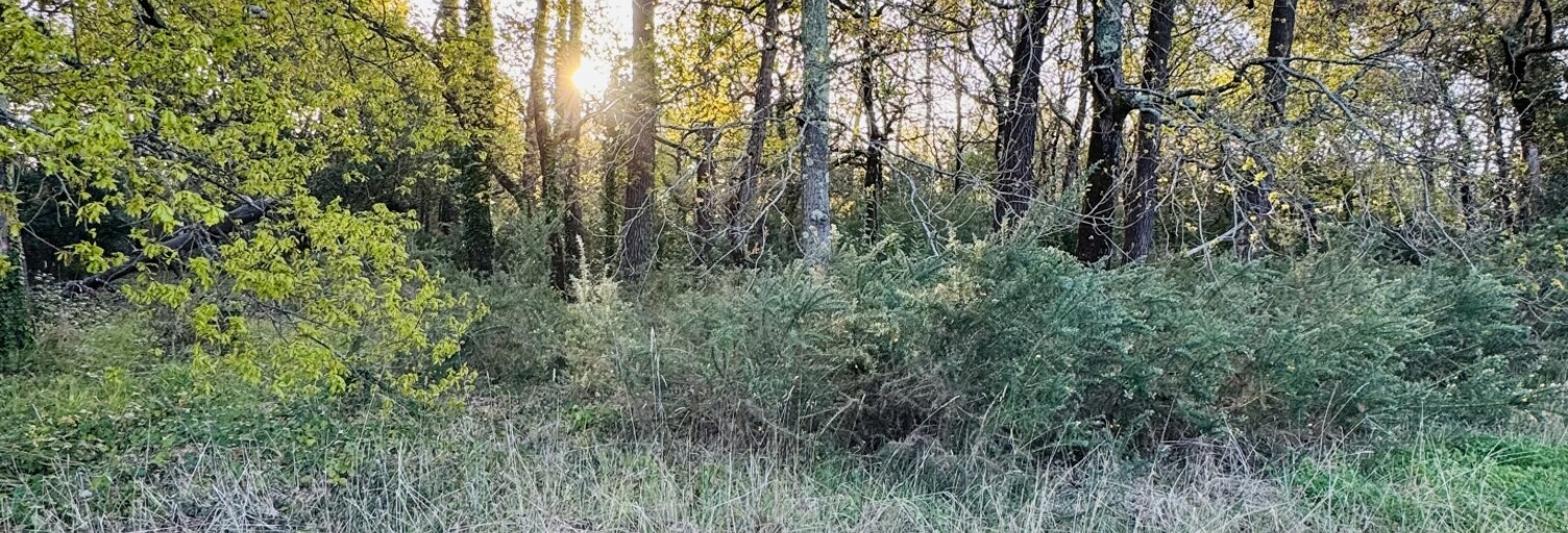 Terrain  800 m² à vendre à Soulac-sur-Mer (33780)