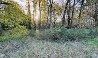 Terrain  800 m² à vendre à Soulac-sur-Mer (33780)