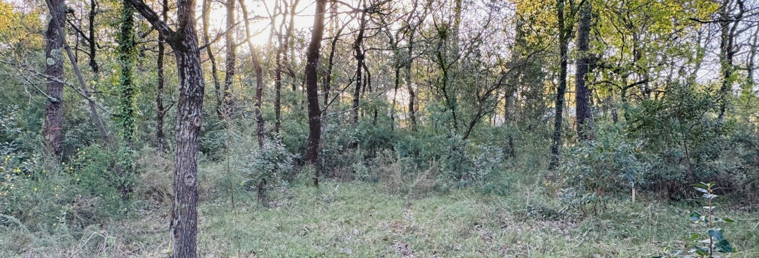 Terrain  985 m² à vendre à Soulac-sur-Mer (33780)