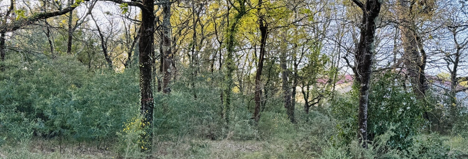 Terrain  800 m² à vendre à Soulac-sur-Mer (33780)