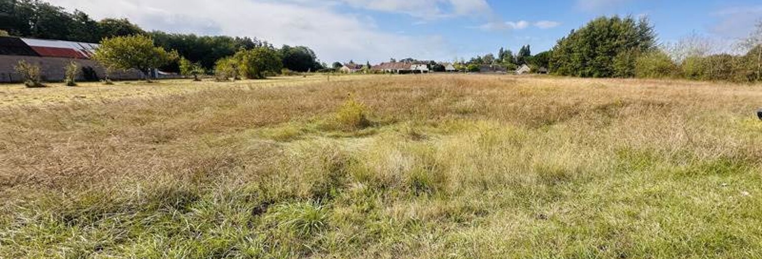 Terrain  983 m² à vendre à Le Controis-en-Sologne (41120)