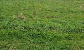 Terrain  2958 m² à vendre à Soubran (17150)