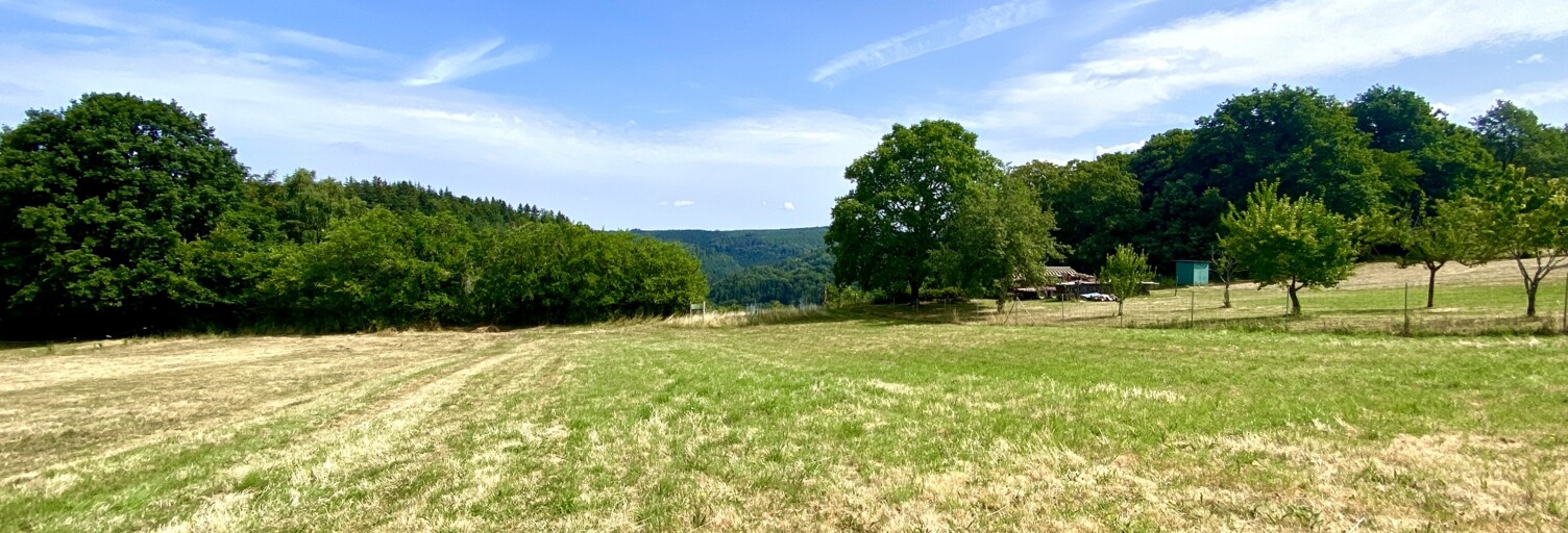 Terrain  3115 m² à vendre à Hommert (57870)