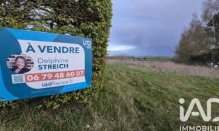 Terrain  6843 m² à vendre à Oneux (80135)