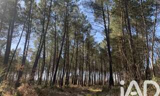 Terrain  67925 m² à vendre à Mézeray (72270)