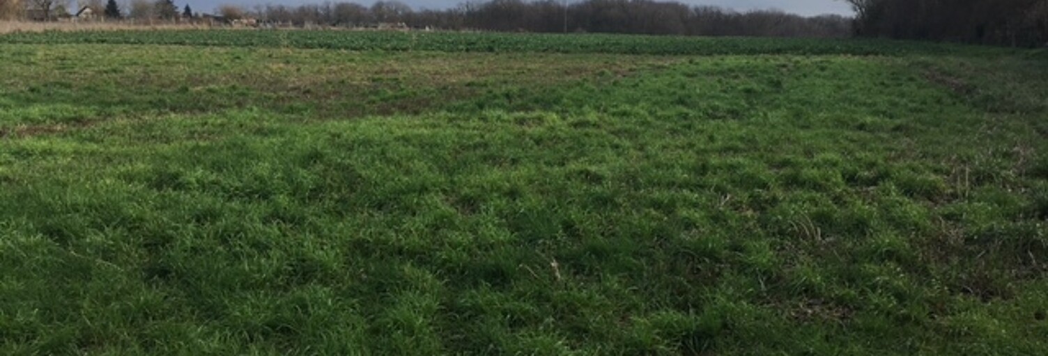 Terrain  941 m² à vendre à Chaumot (89500)