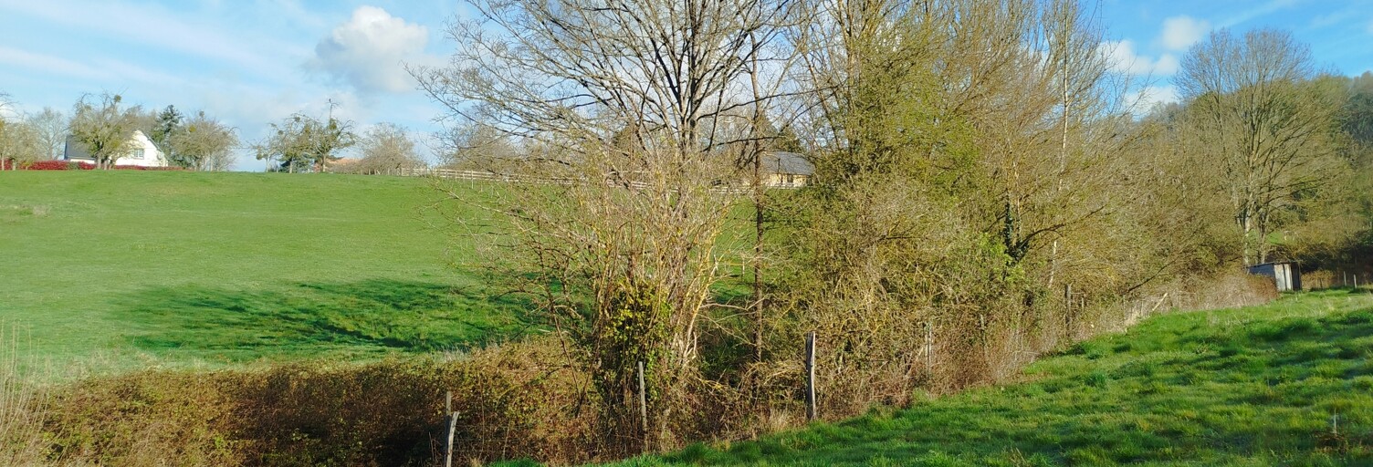 Terrain  3787 m² à vendre à Le Mesnil-Guillaume (14100)