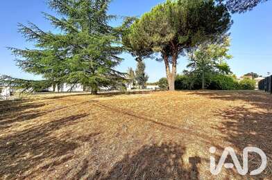 Terrain  115000 €