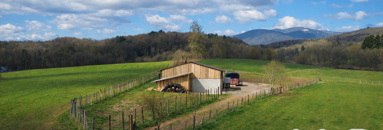 Terrain  32389 m² à vendre à Grosmagny (90200)