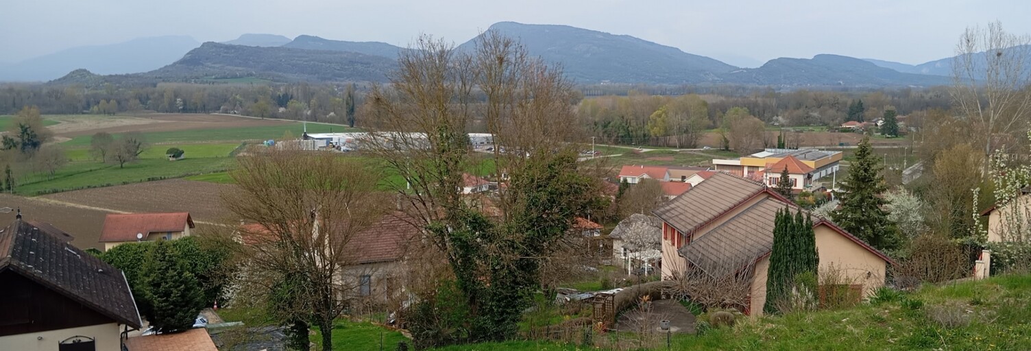 Photo N° 2