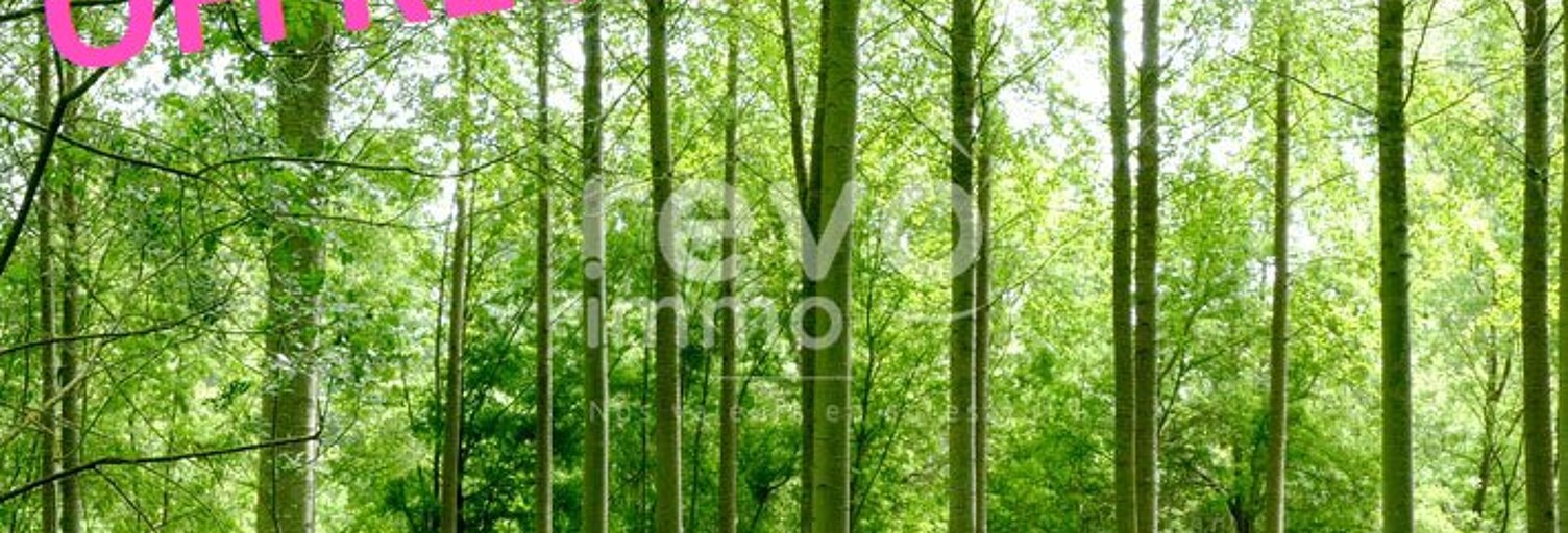 Terrain  10254 m² à vendre à Vallet (44330)