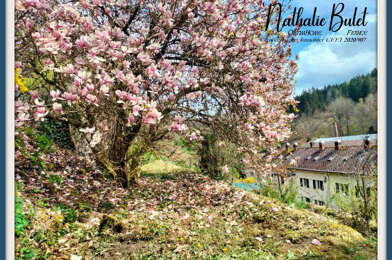 Appartement 4 pièces 55000 €