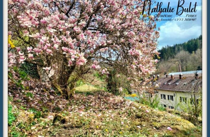 Appartement à vendre PLOMBIERES LES BAINS (88) — photo 3