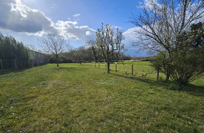 Terrain à vendre  CHANNAY SUR LATHAN (37) — photo 5