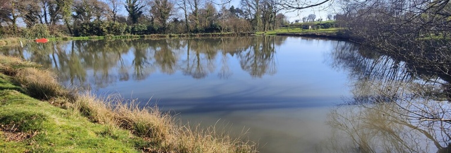 Maison 6 Pièces 113 m² à vendre à Glomel (22110)