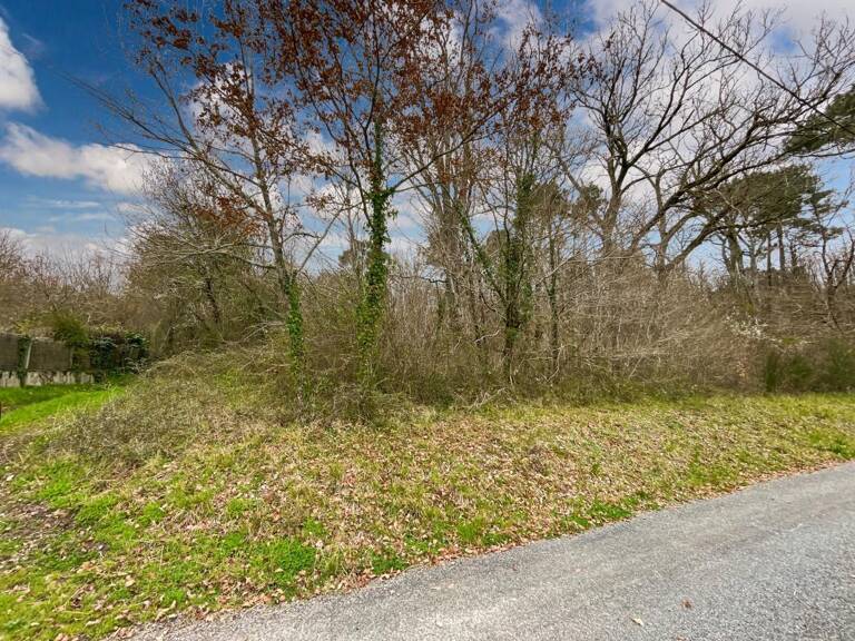 Terrain À Vendre — photo 1
