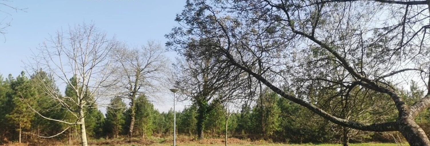 Terrain  903 m² à vendre à Sanguinet (40460)