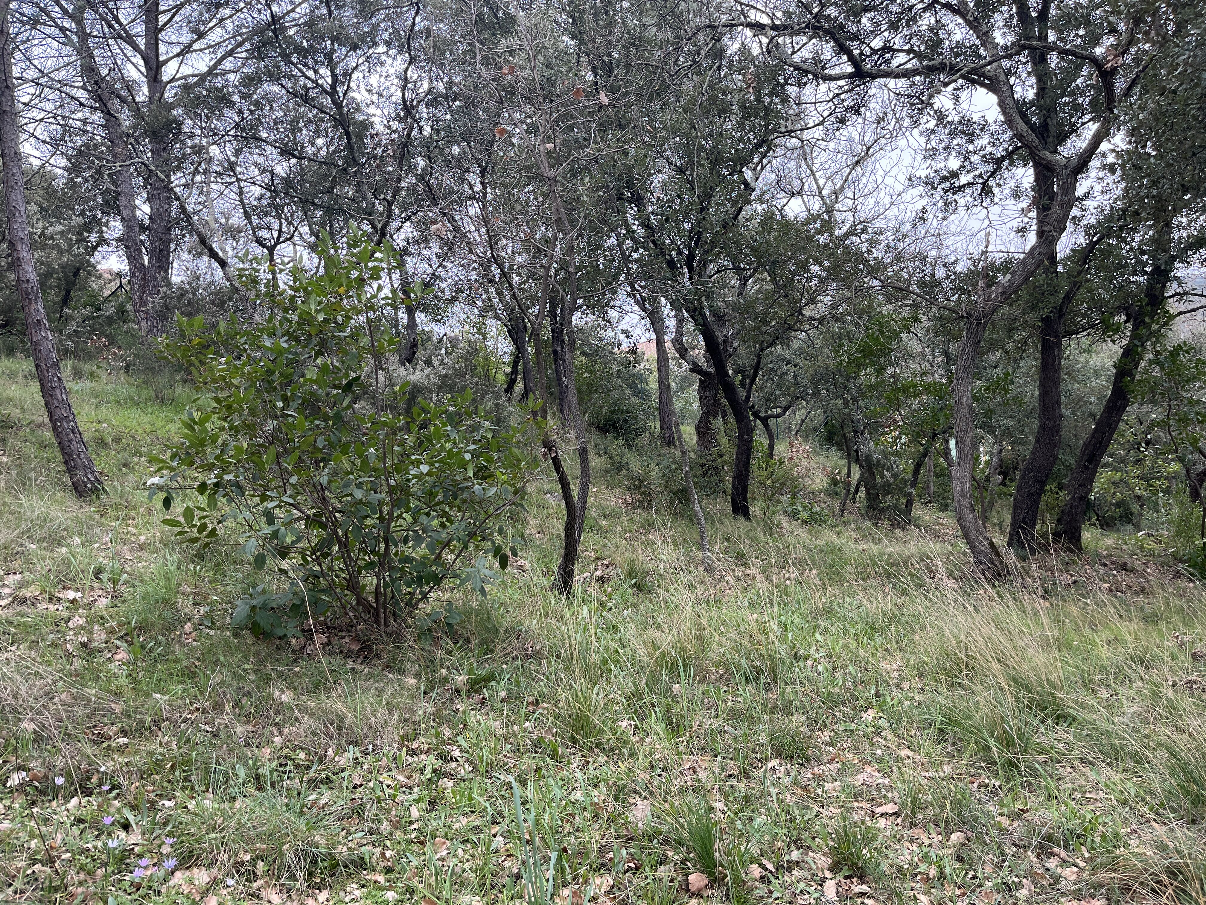 Terrain  à vendre Toulon 83000