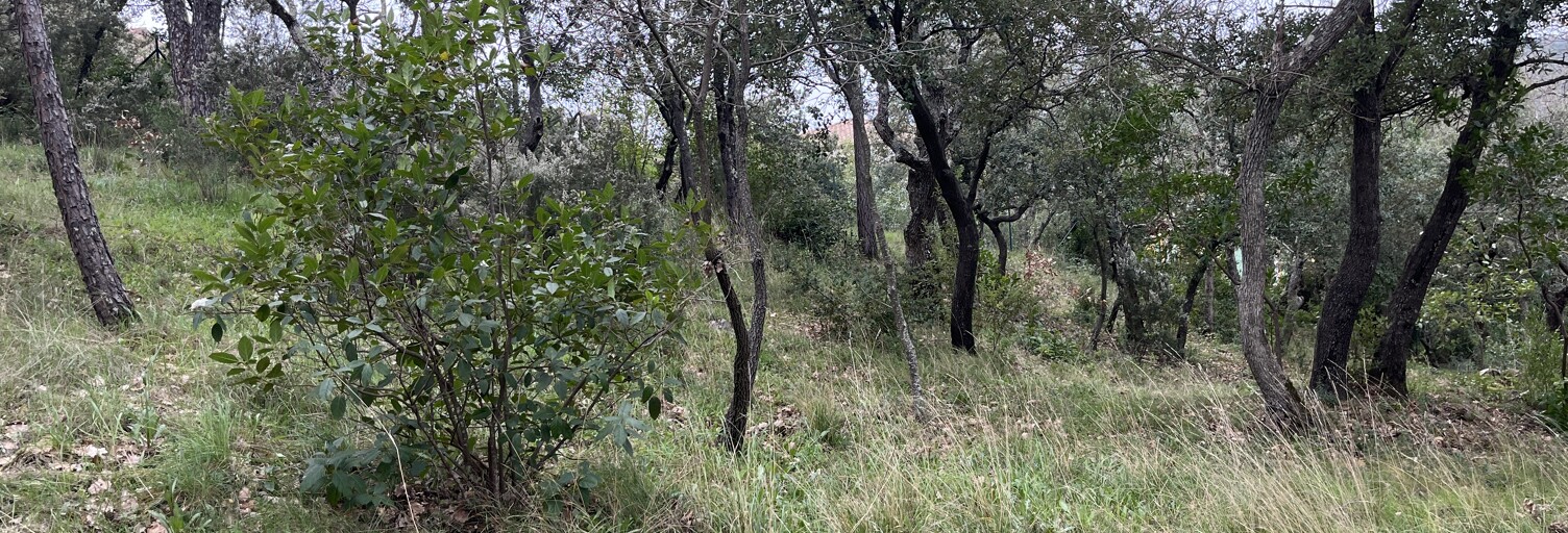 Terrain 570 m² à construire Toulon (83000)