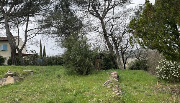 Terrain  à vendre Carnoules 83660
