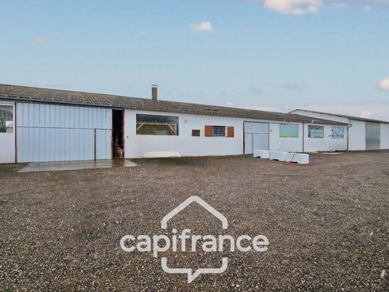 Local/entrepôt/ investisseur à vendre proche de CHALON SUR SAONE (71) — photo 1