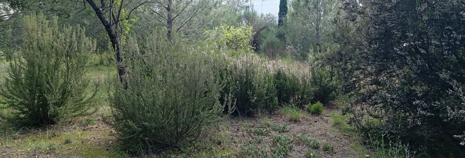 Terrain  1078 m² à vendre à Le Boulou (66160)