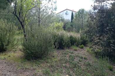 Terrain  160000 €