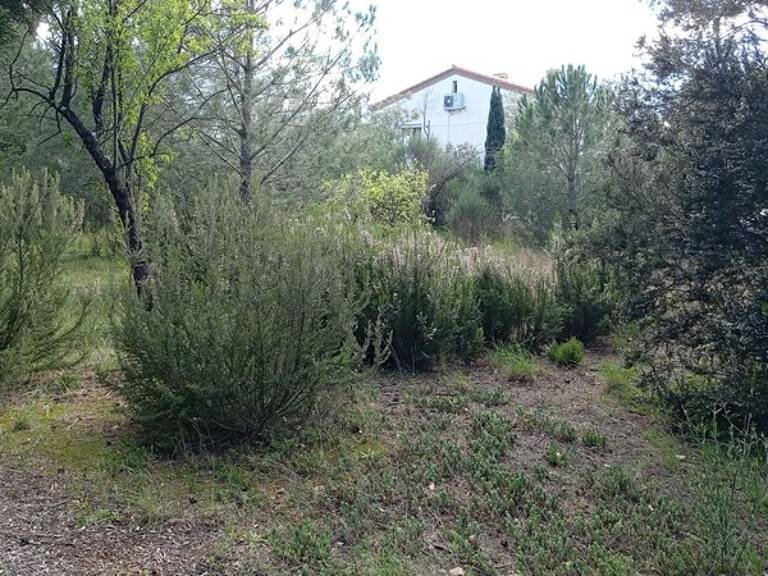 Sous offre - Terrain à vendre - LE BOULOU (MAS BLANC) — photo 1