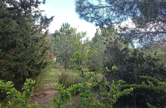 Terrain à vendre - LE BOULOU (MAS BLANC) — photo 2